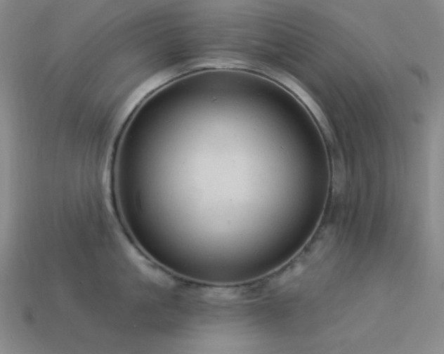 X0000114120861200910051509