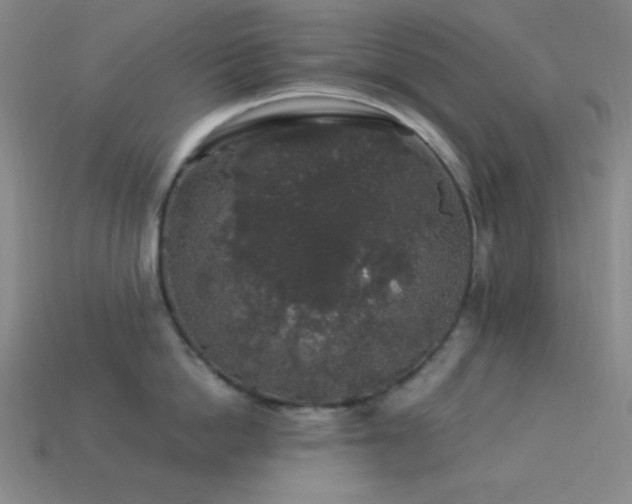 X0000114120862200910051509