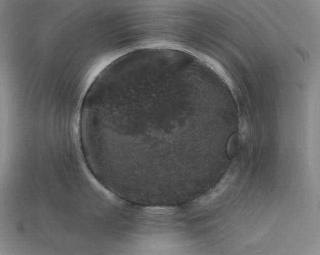 X0000114120863200910051509