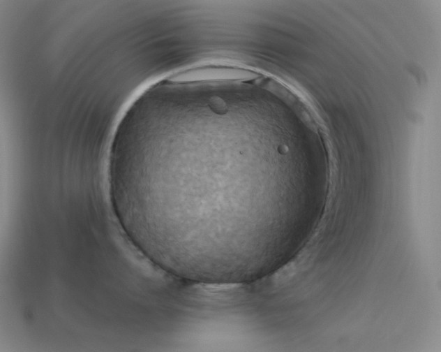 X0000114120864200910051509