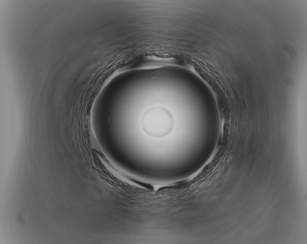 X0000114120865200910051509