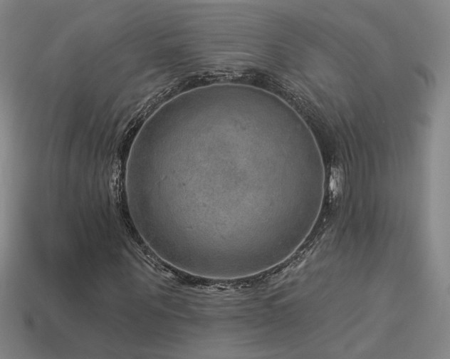 X0000114120867200910051509