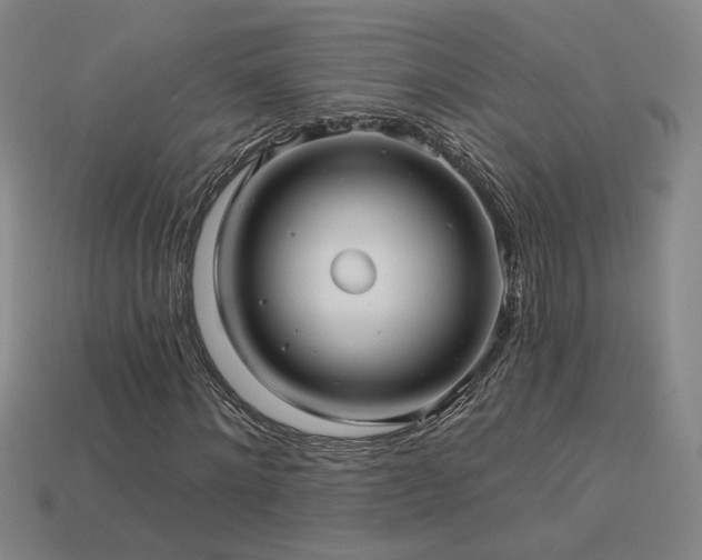 X0000114120868200910051509