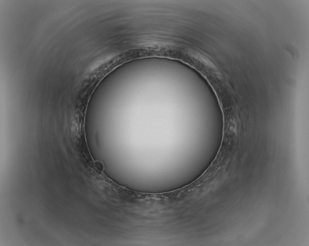 X0000114120869200910051509