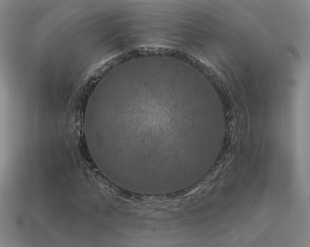 X0000114120870200910051509