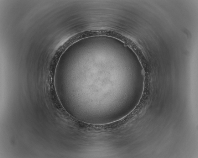 X0000114120871200910051509