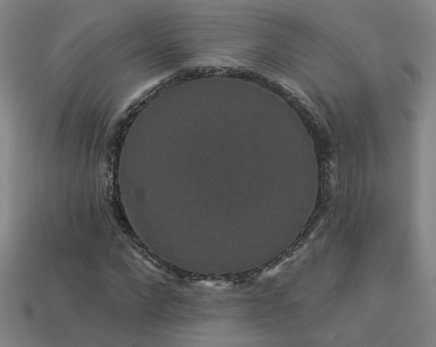 X0000114120872200910051509