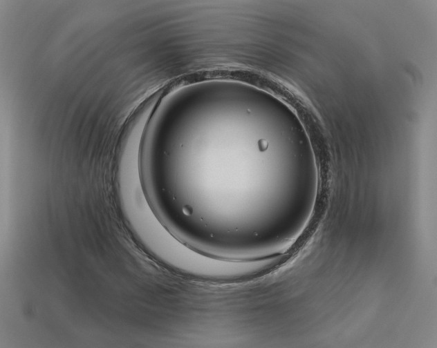 X0000114120873200910051509