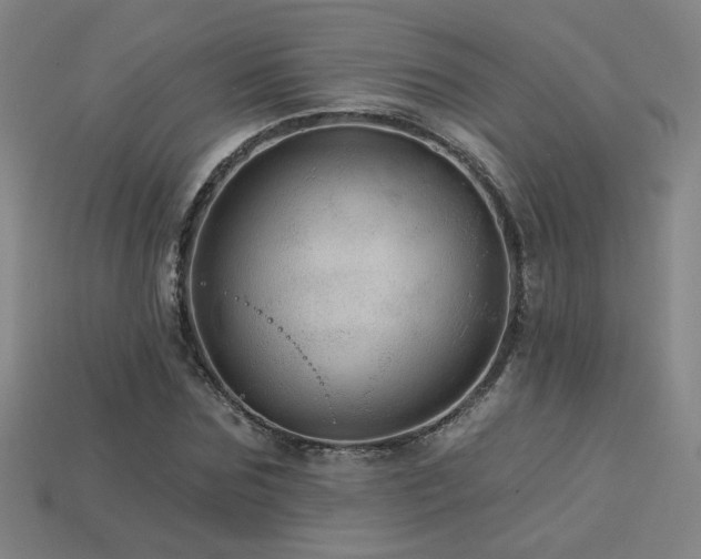 X0000114120875200910051509