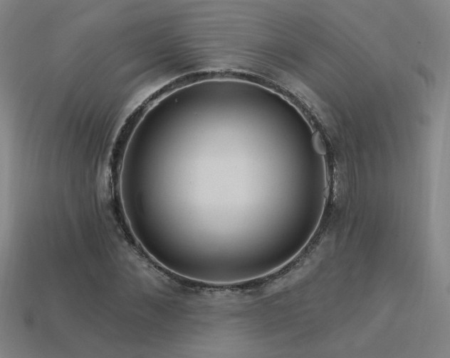 X0000114120876200910051509