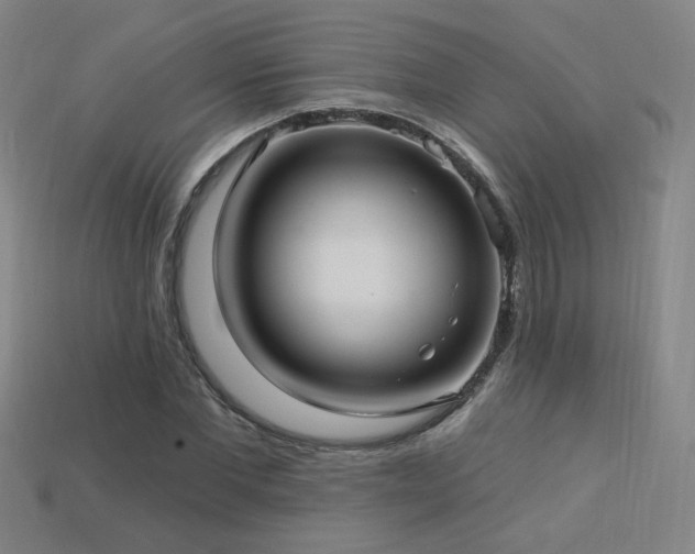 X0000114120877200910051509