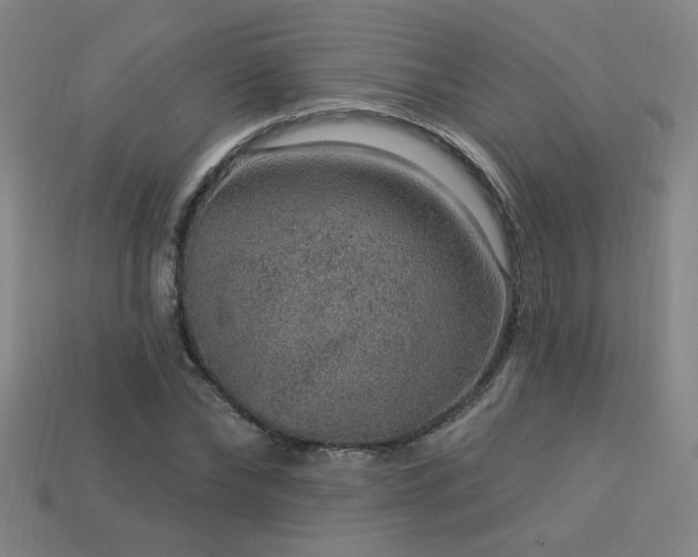 X0000114120878200910051509