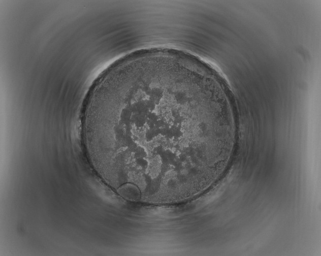 X0000114120879200910051509