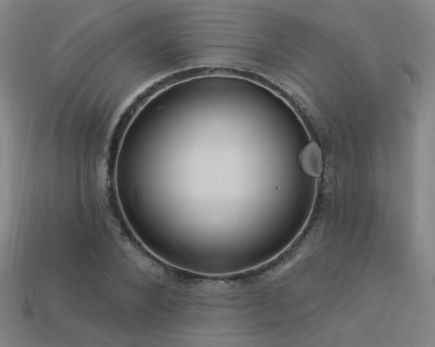 X0000114120880200910051509