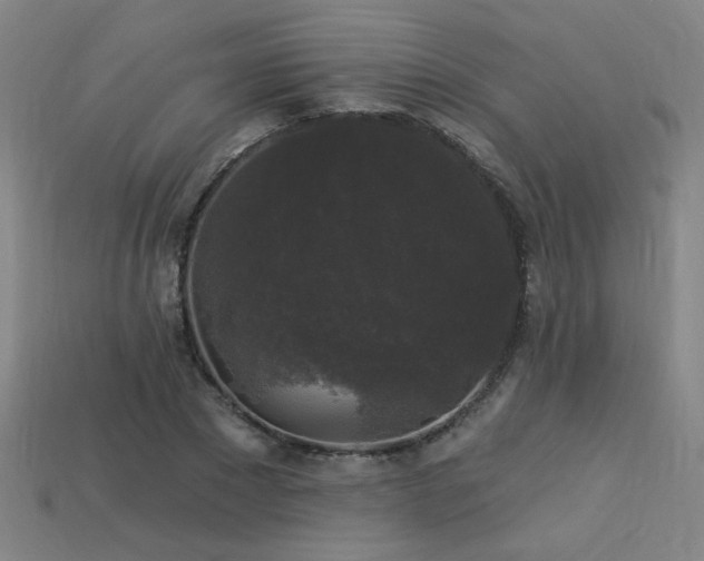 X0000114120881200910051509