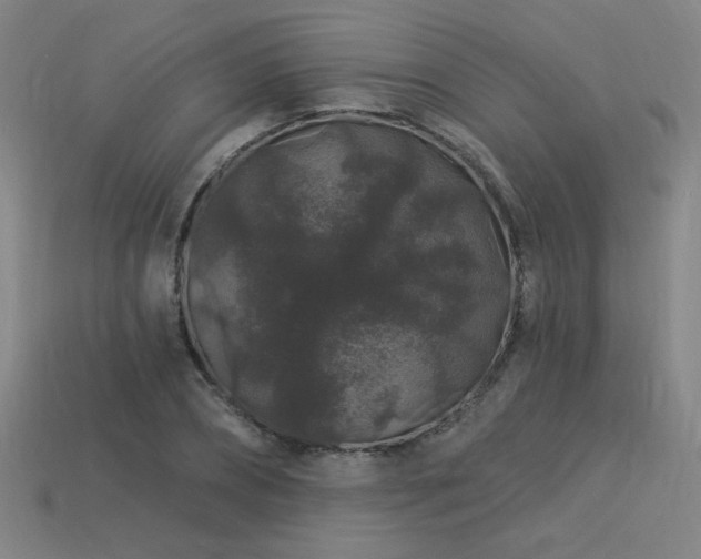 X0000114120882200910051508