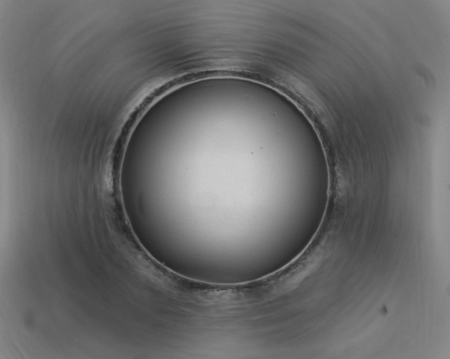 X0000114120883200910051508