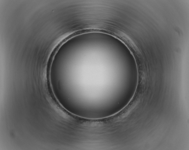 X0000114120884200910051508