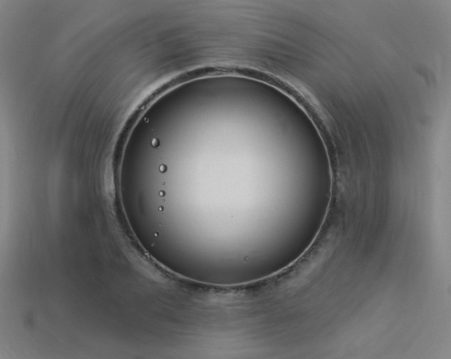 X0000114120887200910051508