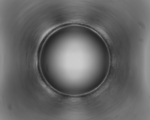 X0000114120888200910051508