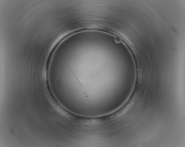 X0000114120891200910051508
