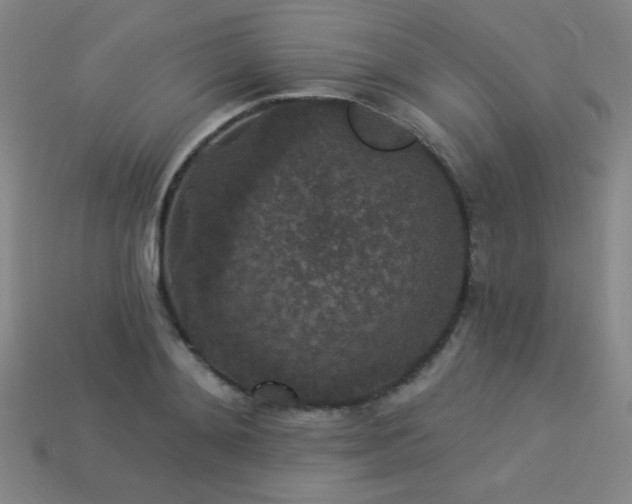 X0000114120892200910051508