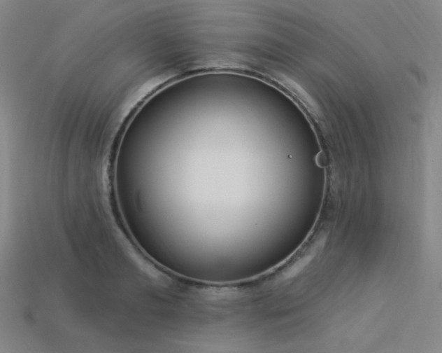 X0000114120893200910051508