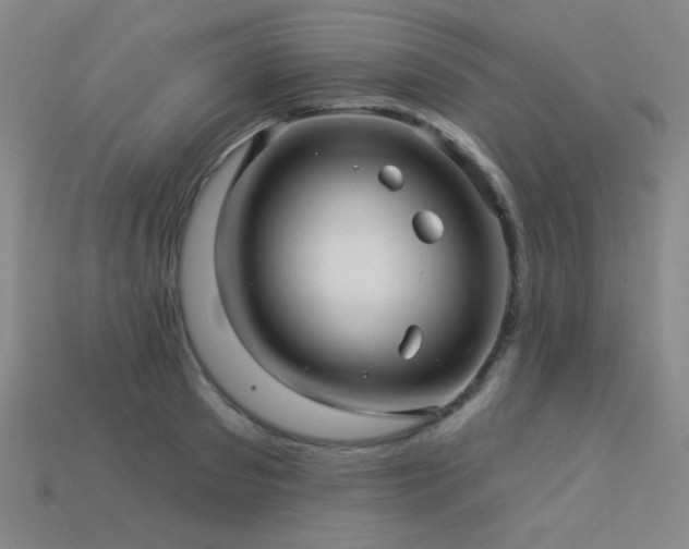X0000114120897200910051508