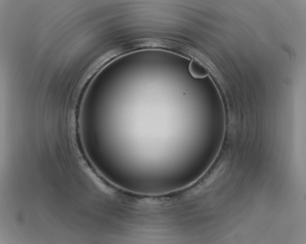 X0000114120898200910051508