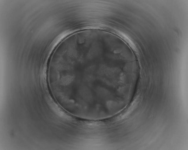 X0000114120899200910051508
