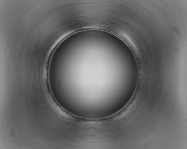 X0000114120900200910051508