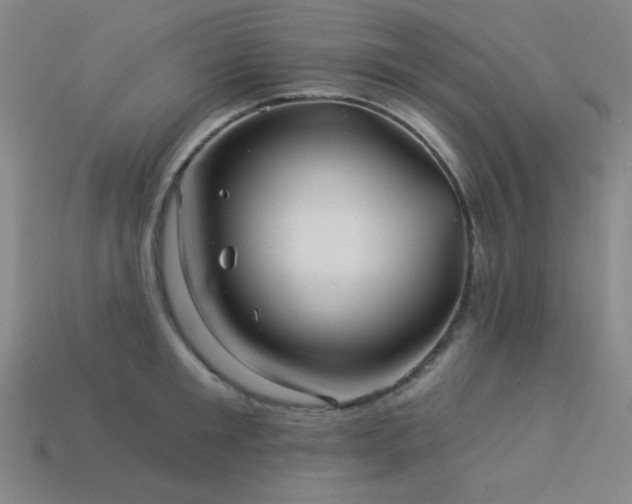 X0000114120901200910051508