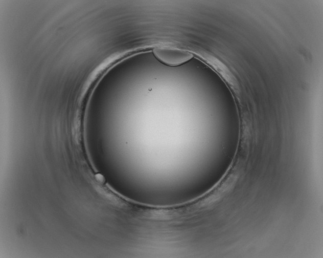 X0000114120904200910051508