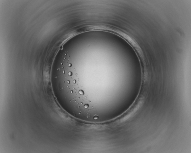 X0000114120905200910051508