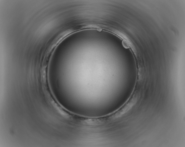 X0000114120906200910051508