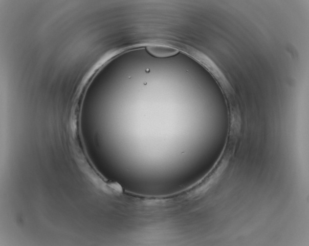 X0000114120908200910051508