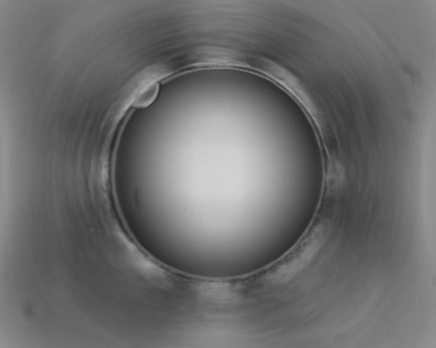 X0000114120909200910051508