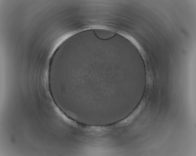 X0000114120910200910051508