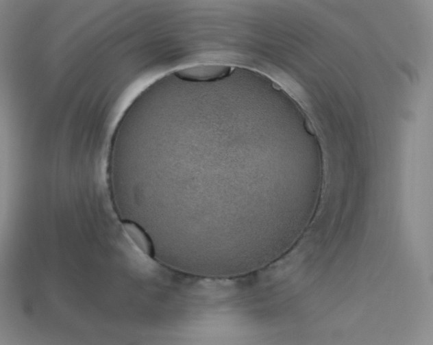 X0000114120912200910051508