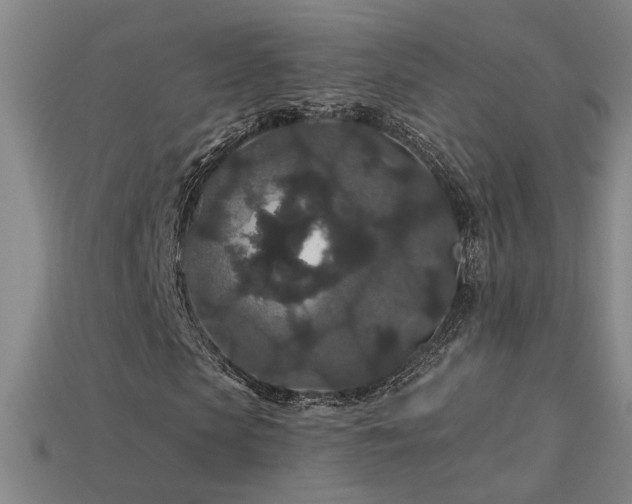 X0000114120913200910051508