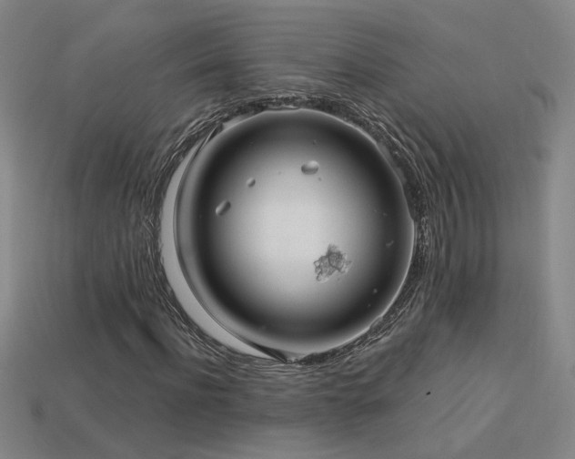X0000114120916200910051508
