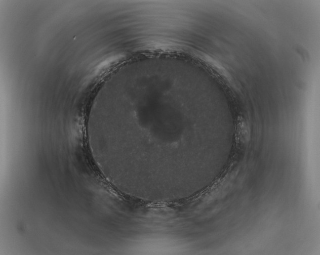 X0000114120918200910051508