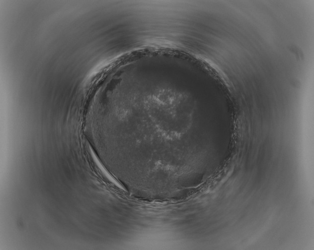 X0000114120919200910051508