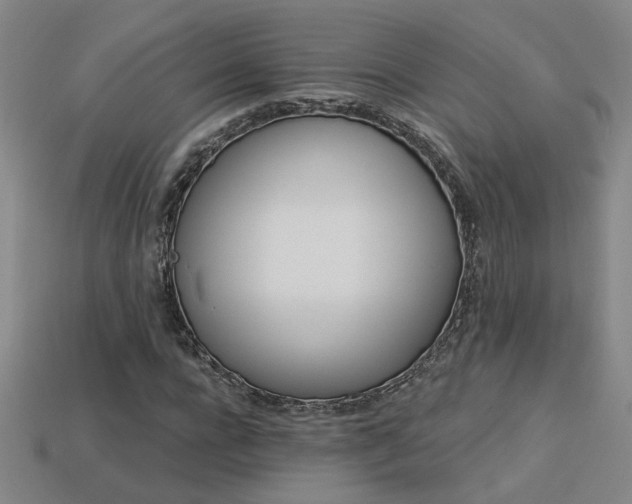 X0000114120920200910051508