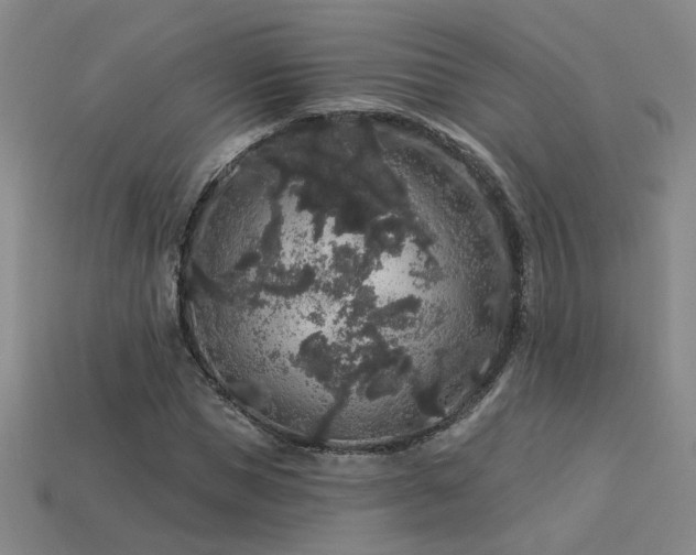 X0000114120921200910051508