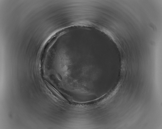 X0000114120923200910051508