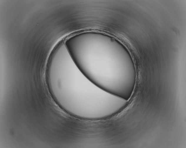 X0000114120924200910051508