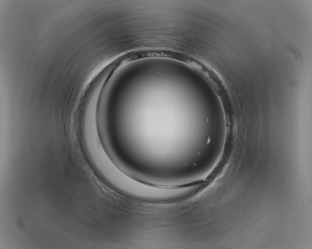X0000114120925200910051508