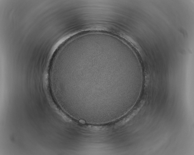 X0000114120928200910051508