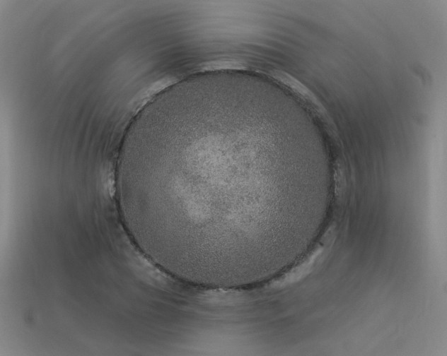 X0000114120929200910051508